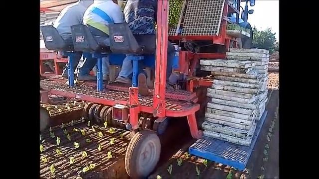 Ferrari Transplanter model FX Multipla
