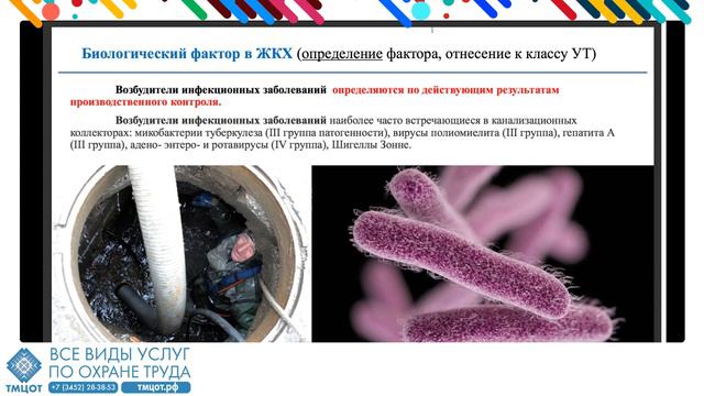 Сравнительный анализ Методики проведения спецоценки №817н и №33н. Новости охраны труда последнее