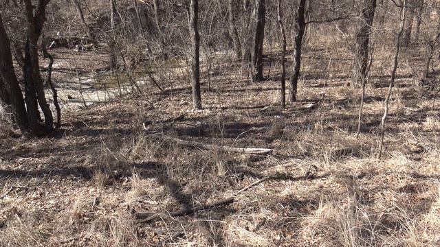 Kryptek Highlander Camouflage Effectiveness