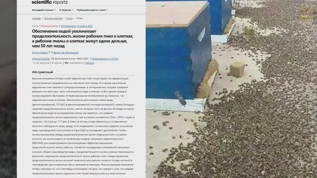 Причины аномального поведения и массовой гибели животных.