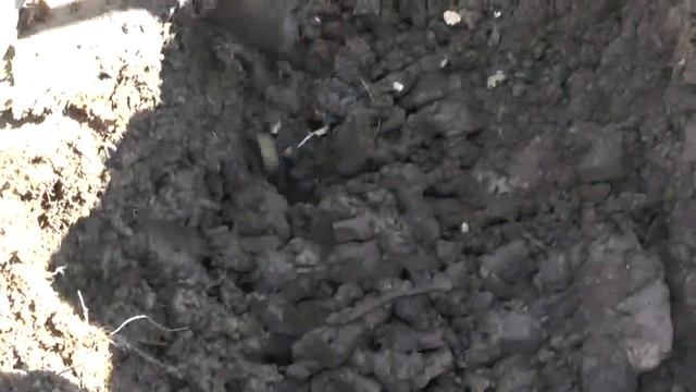 Рыжковский пруд. Бобры разрушили плотину и воду не удержать. 23. 04. 2017