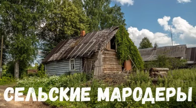 Страшная история. Сельские мародеры.