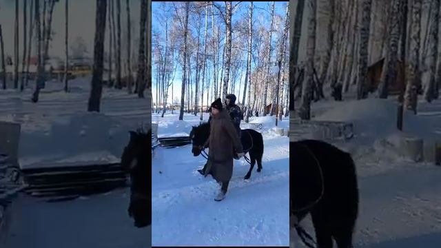 27 декабря 2023 г.