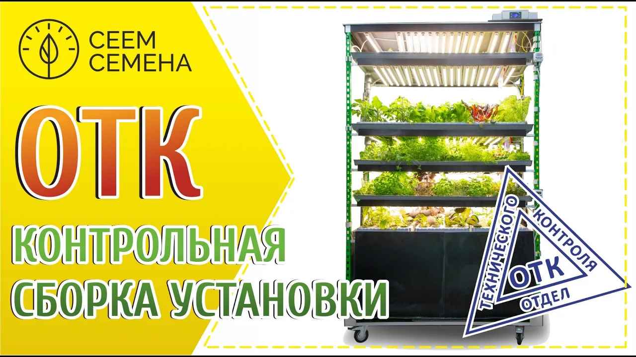 Www Seed Ru Интернет Магазин Www Seed Ru Интернет Магазин