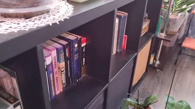 Здравствуйте, не ждали...клещ на орхидейках. Что буду делать?
