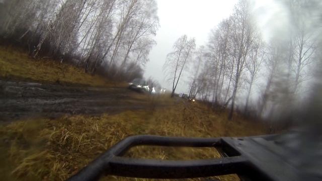 Пушкинская осень 16112013