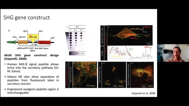 Recombinant GABAergic Cells As A Therapy For Chronic Neuropathic Pain: Stanislava Jergova