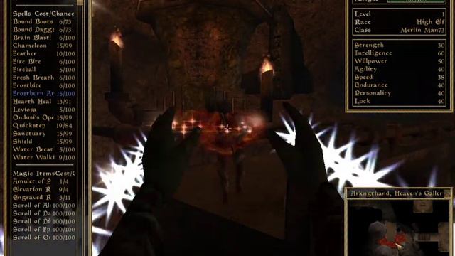 The Elder Scrolls III: Morrowind #6 || Why Is This Guy So Strong?