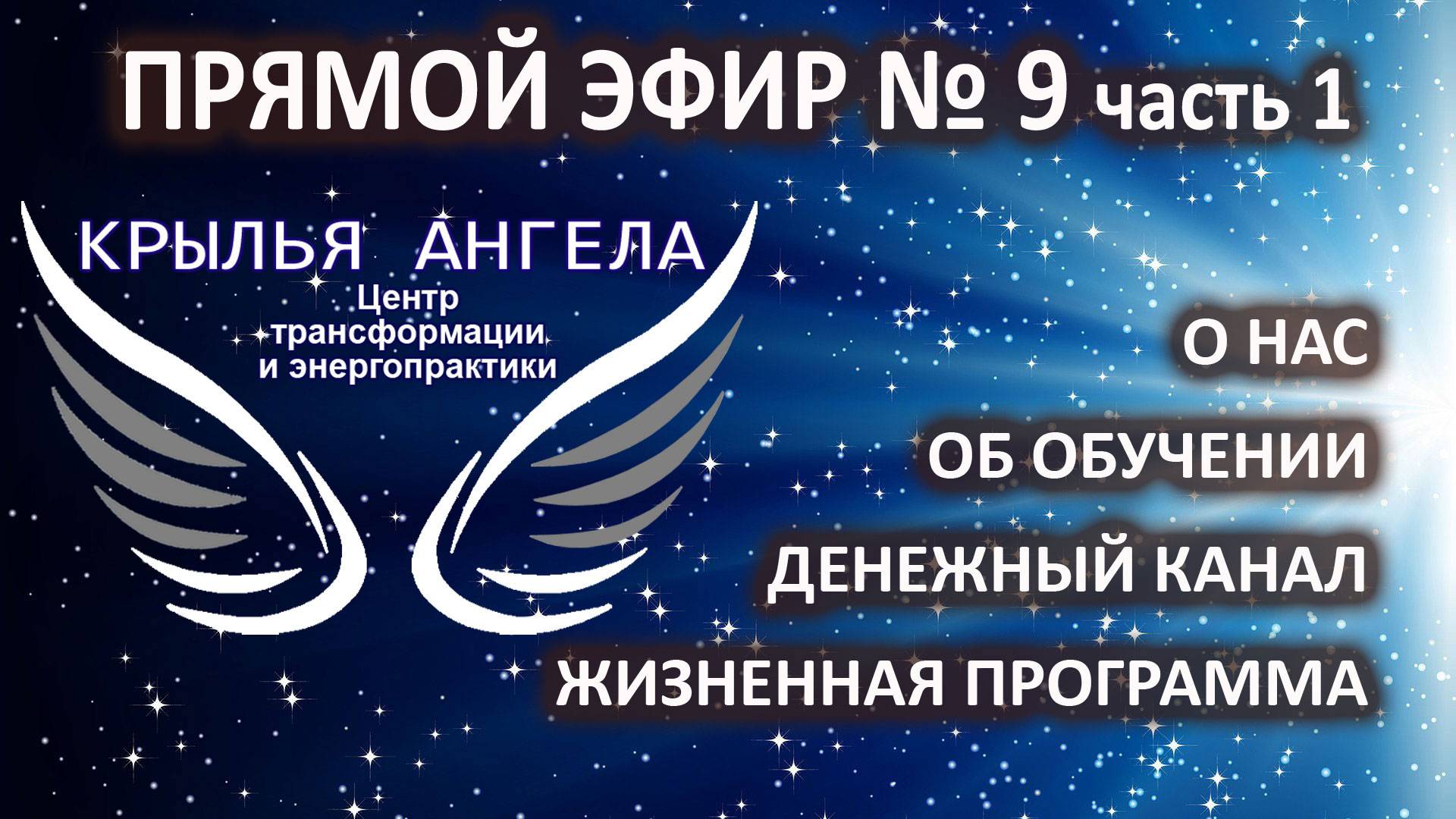 Прямой эфир №9 часть 1. О  нас и обучении. Денежный канал. Жизненная программа.