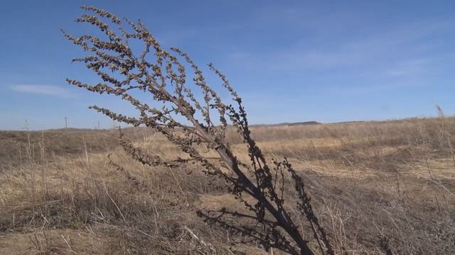 Профилактика пожаров в Ишимбайском районе