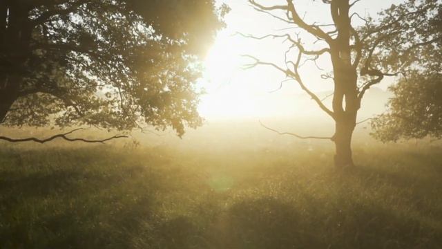 Meditation Music, Sleep Music, Yoga, Beautiful Relax Music 30 minuts/Расслабляющая музыка для сна.