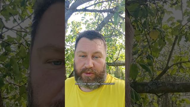 Борьба с клещëм #пчела #пчелосемья #пасека #мед #мёд #матка #улей #деревня #природа #bee