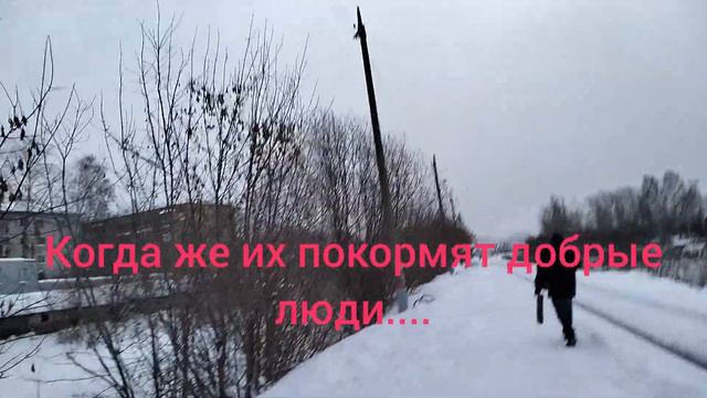 Прогулки по городу. Картинка дня. 20.12.22 Вторник. Зимнее утро.