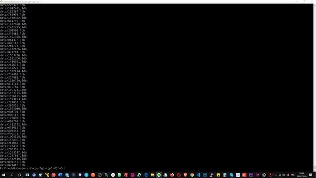 Installer une Full Node Waves avec Docker