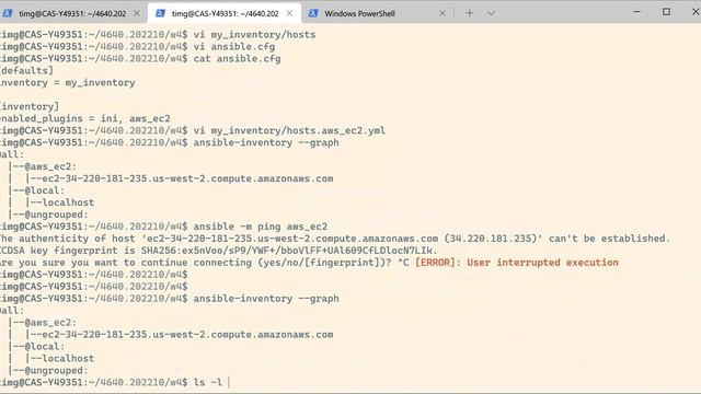 Ansible Dynamic Inventory |  How To Launch and Manage AWS  EC2 Using Ansible Dynamic Inventory | AW