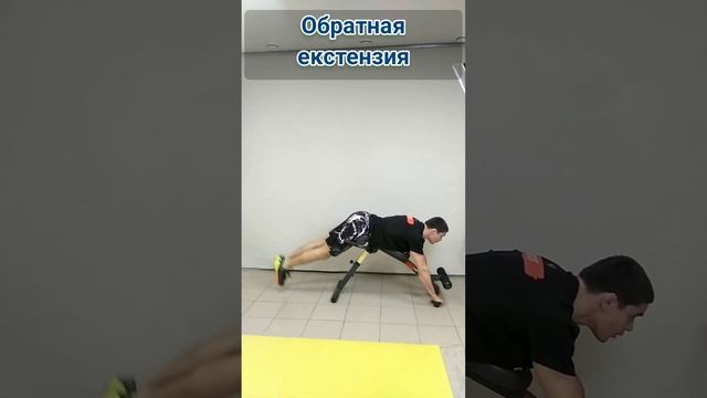 обратная екстензия, укрепление поясницы. здровая спина.