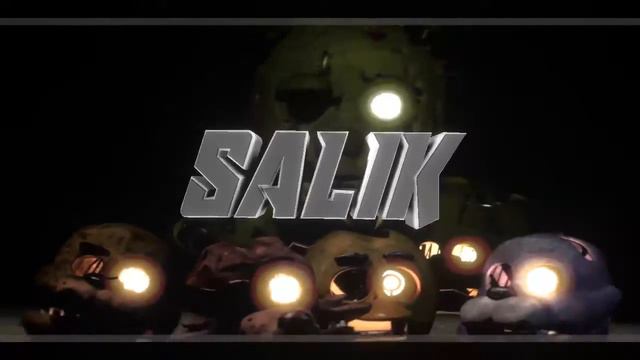 salik intro