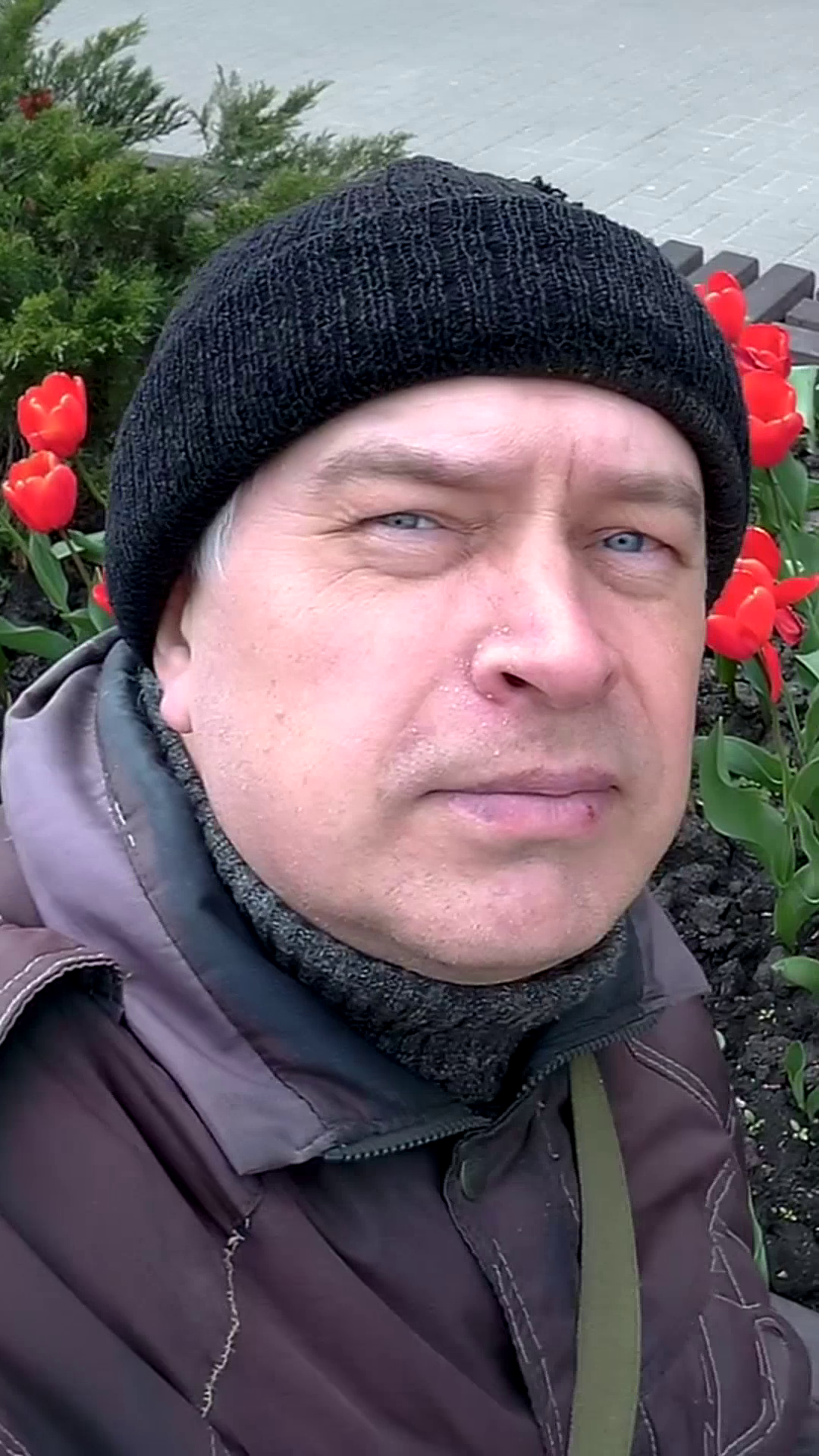 Вертикальное видео про красные тюльпаны в городе