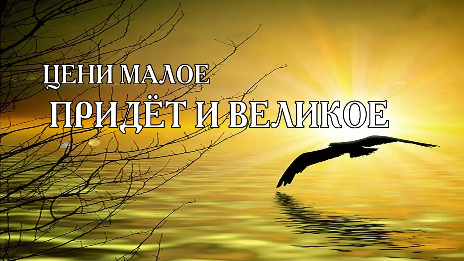 ЦЕНИ МАЛОЕ ПРИДЁТ И ВЕЛИКОЕ