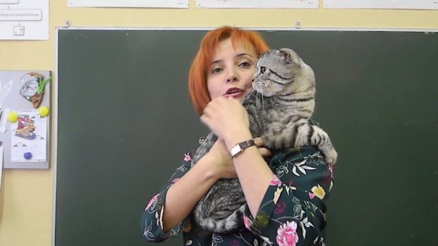 «Битва офисов» - «Добрые дела» МБОУ «СОШ №7» г.Губкинский