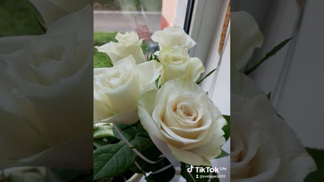 дарите женщинам цветы🌸🌺🌻🌹🌷🌼💐