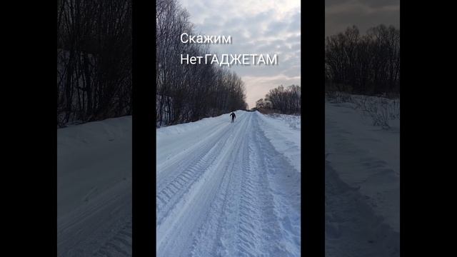 скажим. нет гаджетам