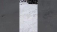 Вот это снегопад на Урале