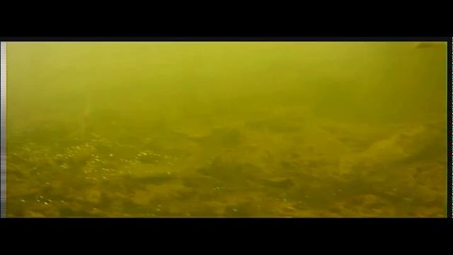 Очень мутная вода