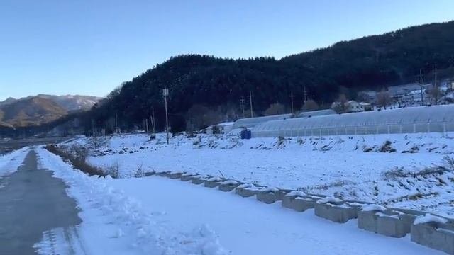 Южная Корея? 20 января/ Вырвалась из плена/Я бубнилка /Наша деревенька развивается / Гуляла 3 часа!