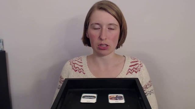 Hide the Penny Game for Phonological Therapy and Final Consonant Deletion