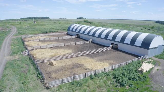 ЖИВОТНОВОДСТВО ЛЕТОМ.