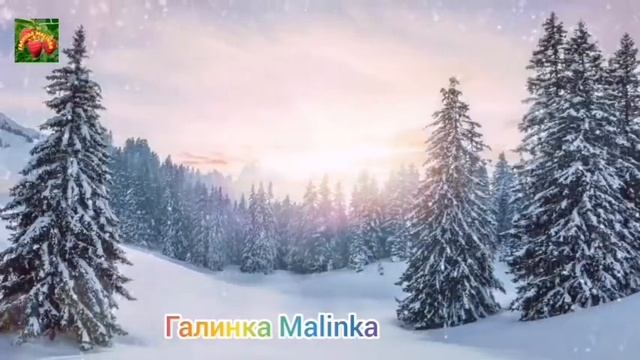 Колесниковы /Обзор Влогов /Стали вхожи в Элиту общества//