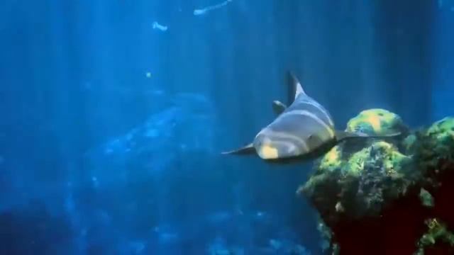 Презентация парка Шкарет 2 Мексика