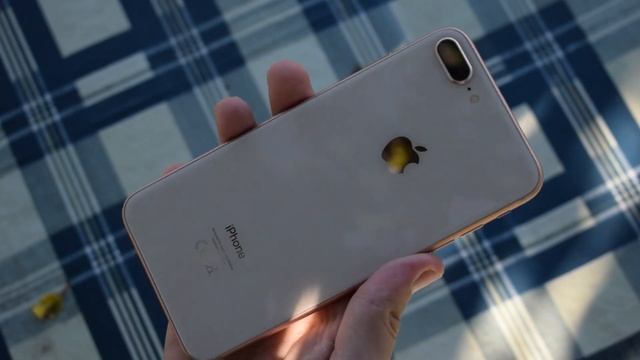 Брать ли iPhone 8 Plus за 25 тысяч с АВИТО в 2021 году?
