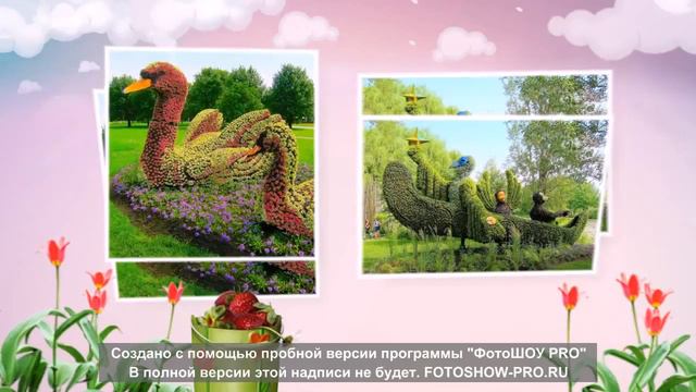 Чудо из цветов