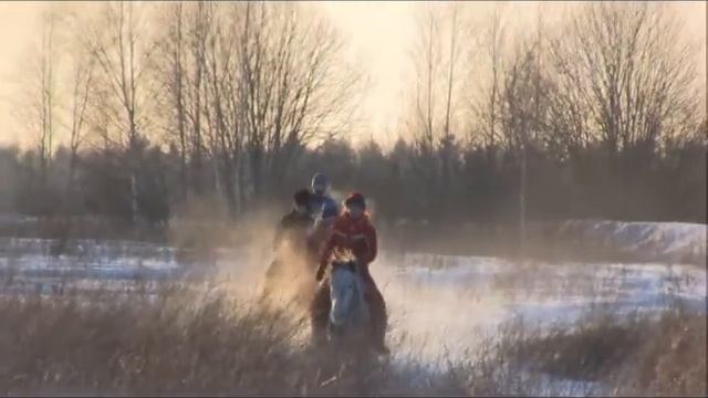 Серая лошадь - январь 2010.avi