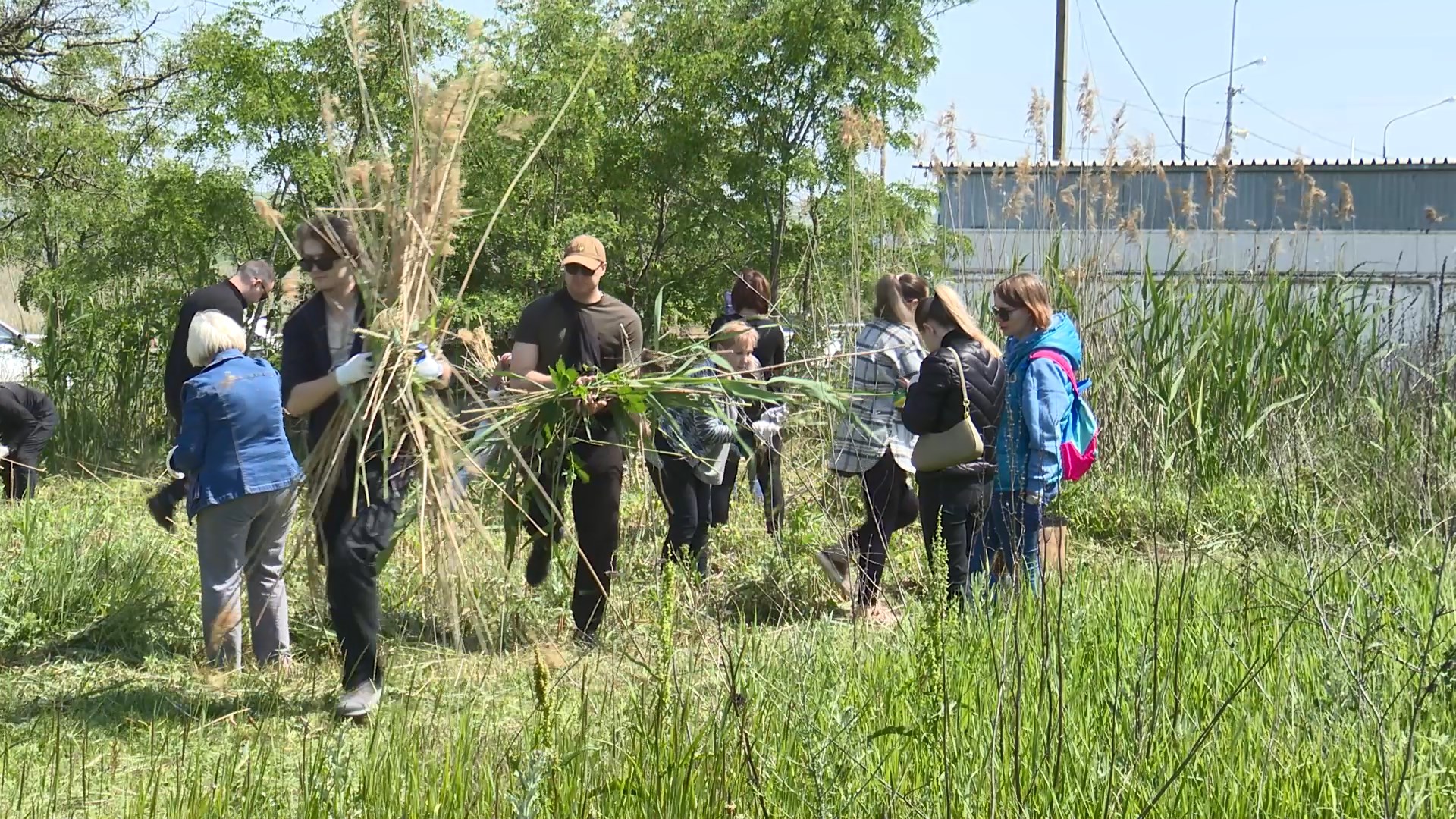 В Анапе прошёл субботник в районе плавней Симферопольского шоссе