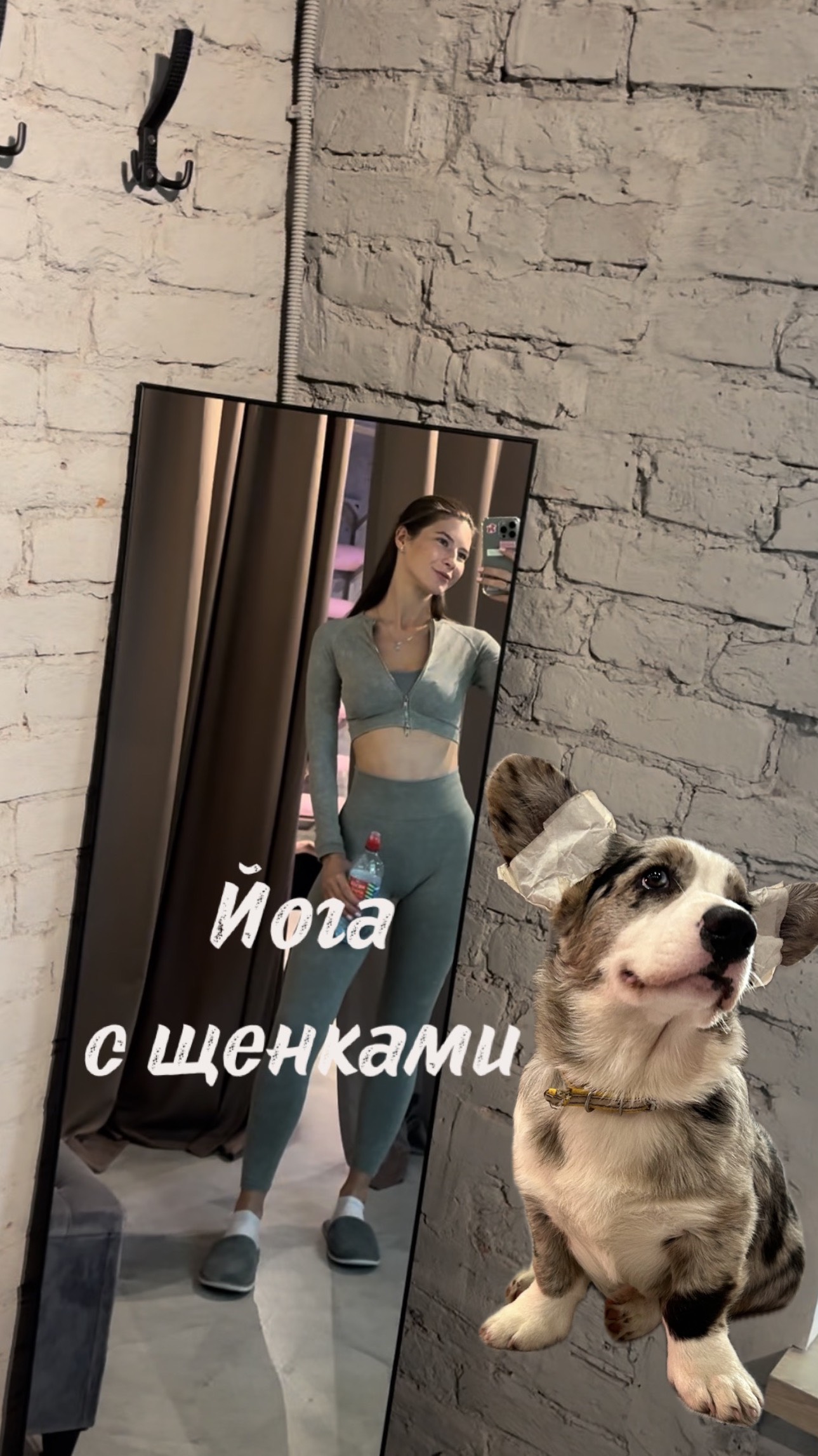 Йога-растяжка с щенками 🐶 #shorts #растяжка #щенки