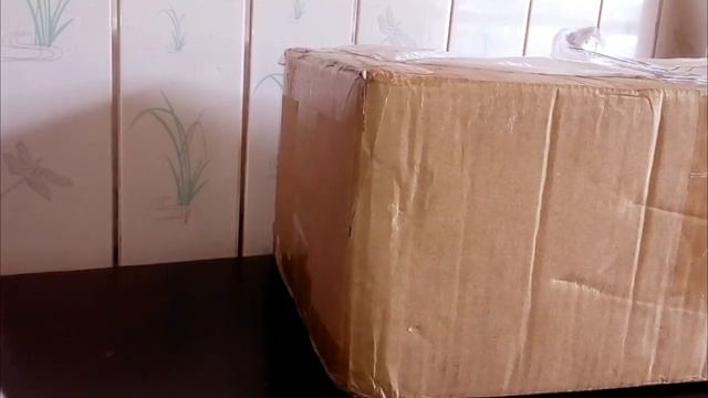 UNBOXING SPANNUNGSWANDLER 1500 Watt Peak Power 3000 Watt Pure Sine Wave Inverter DC 12V to AC 220V