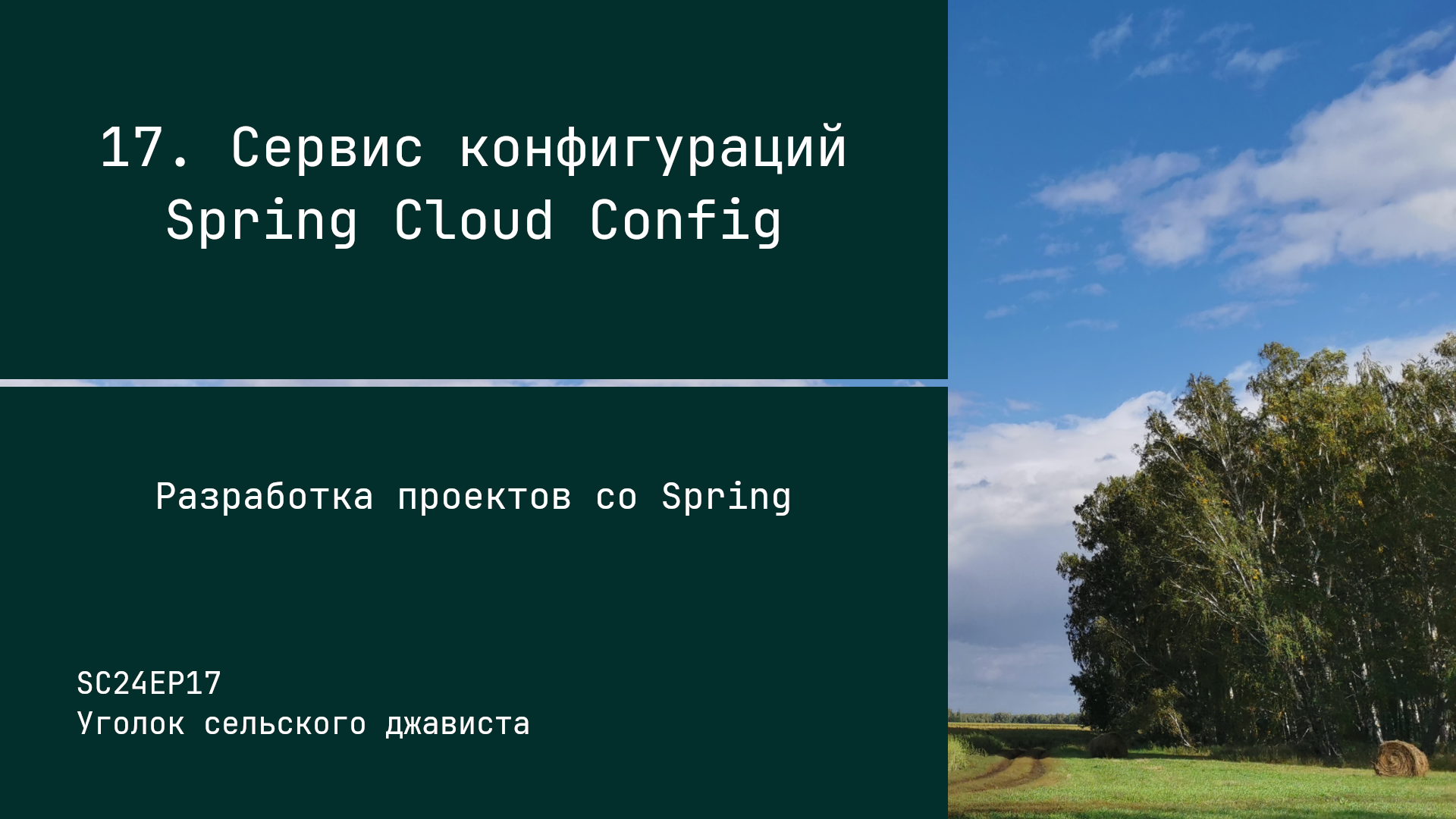 SC24EP17 Сервис конфигураций Spring Cloud Config - Разработка проектов со Spring