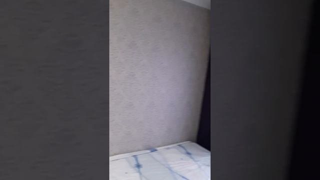 Купить квартиру в Барнауле Купить новостройку Династия24 Барнаул