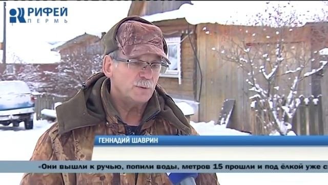 В Пермском крае нашли потерявшихся в лесу детей