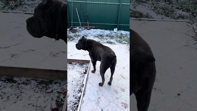 Когда погода 👍🏻