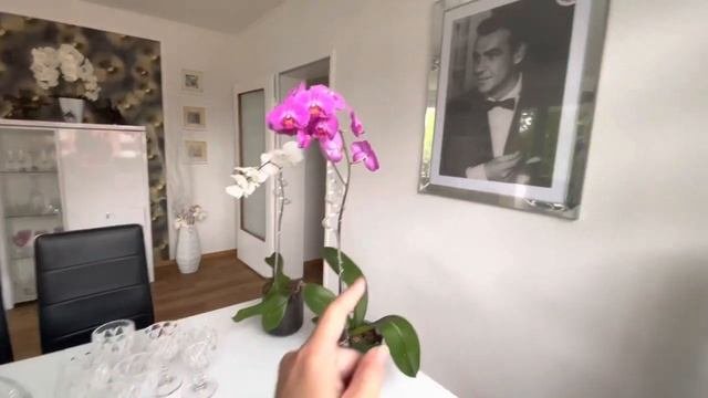 Создаю уют в новой квартире  Купила обои  пересаживаю Орхидею   Новая  фоторамка