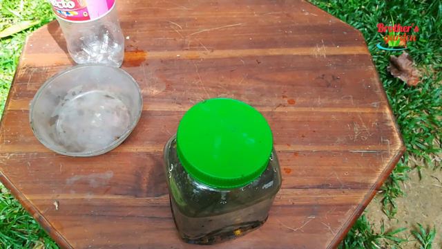 How to make Banana Peel Liquid Fertilizer  Organic Blooming Fertilizer  Brothers Garden.