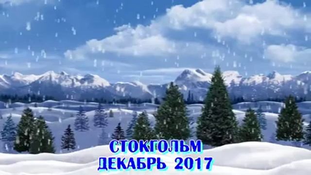 12 месяцев