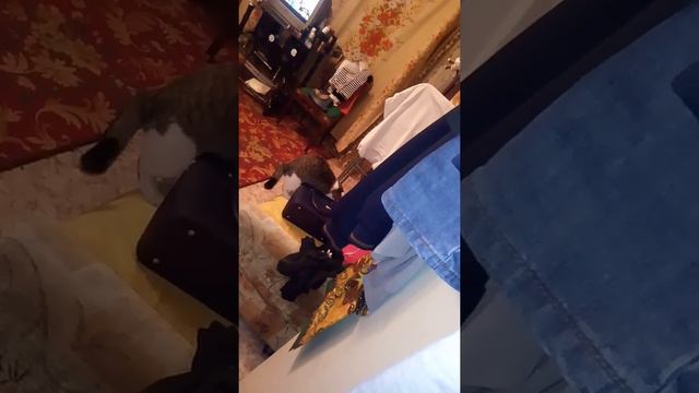 Вор замочек открывает