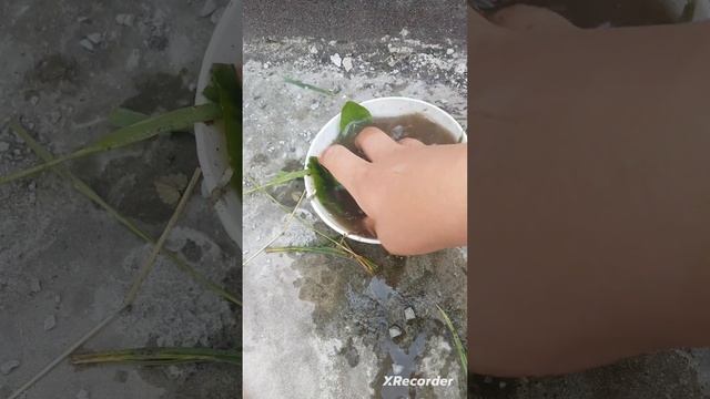 ВКУСНЫЙ РЕЦЕПТ СУПА !!! НЕ ВЫКЛЮЧАТЬ!!!!!