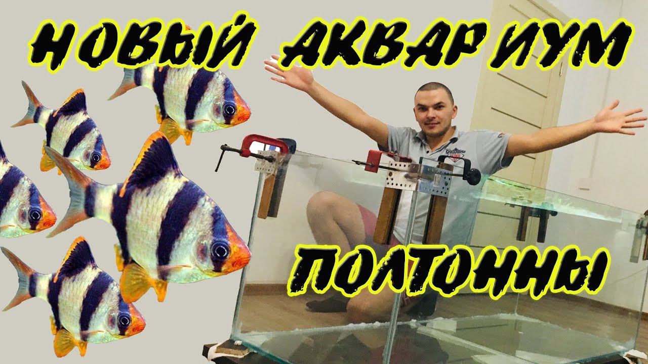 Строительство аквариума. Подселил барбусов к пираньям.mp4