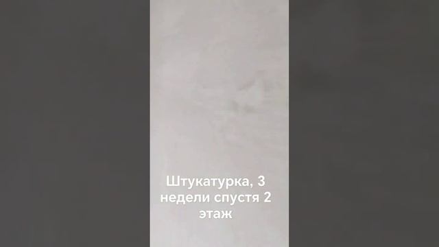 штукатурка на 2 этаже. 3 недели спустя. #волма